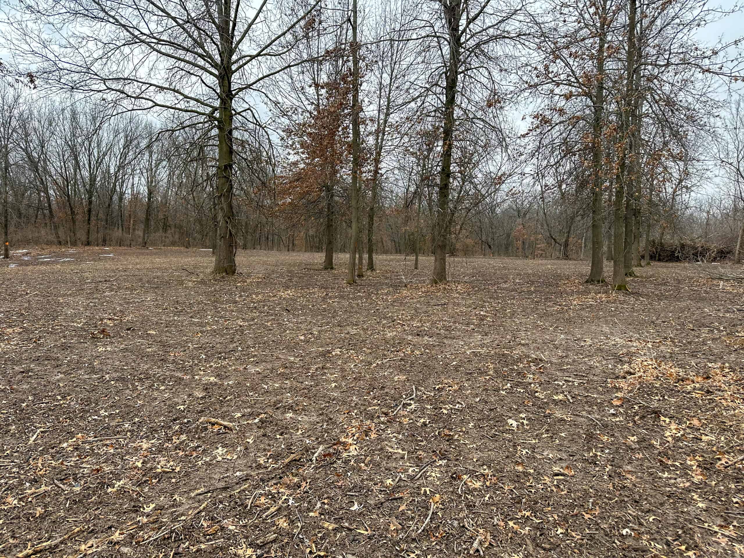 77 Acres | Timber, Hunting & Building Site Inside Ottumwa City Limits