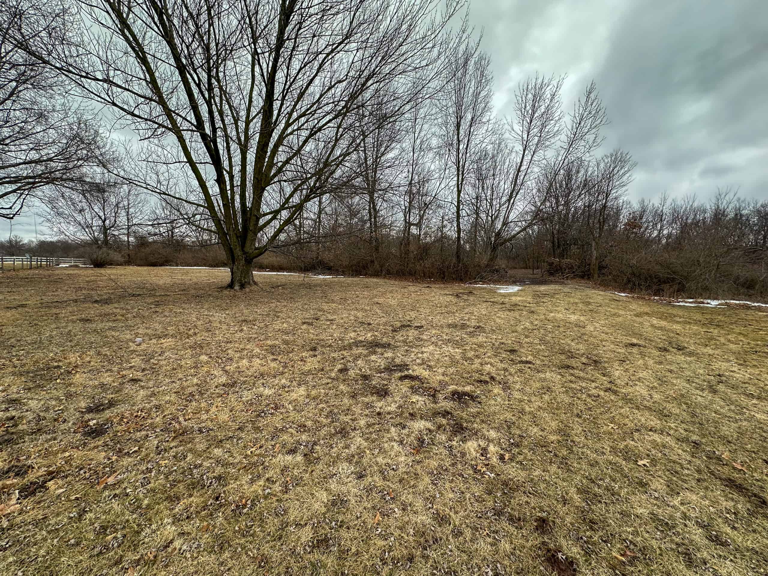 77 Acres | Timber, Hunting & Building Site Inside Ottumwa City Limits