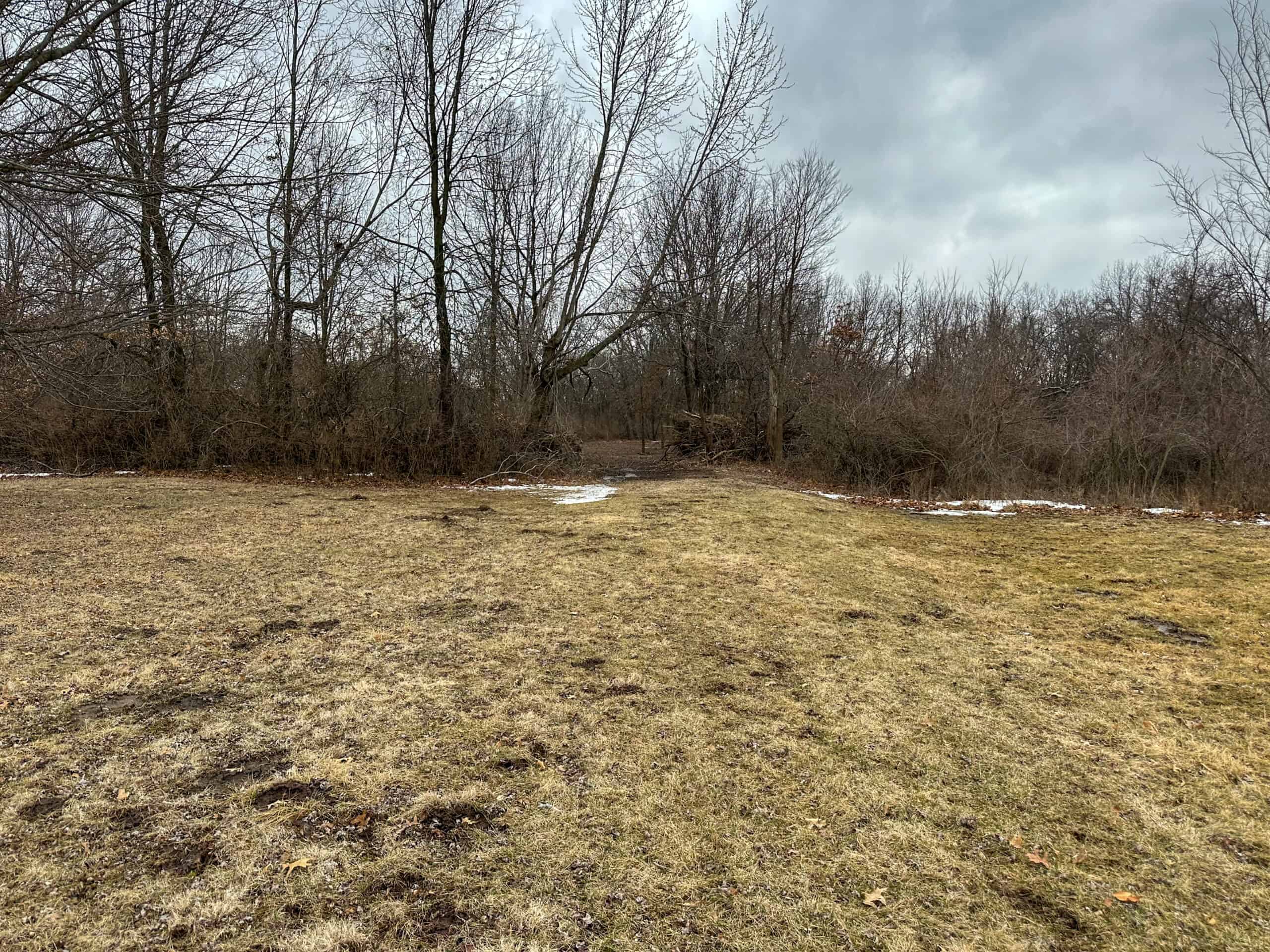 77 Acres | Timber, Hunting & Building Site Inside Ottumwa City Limits