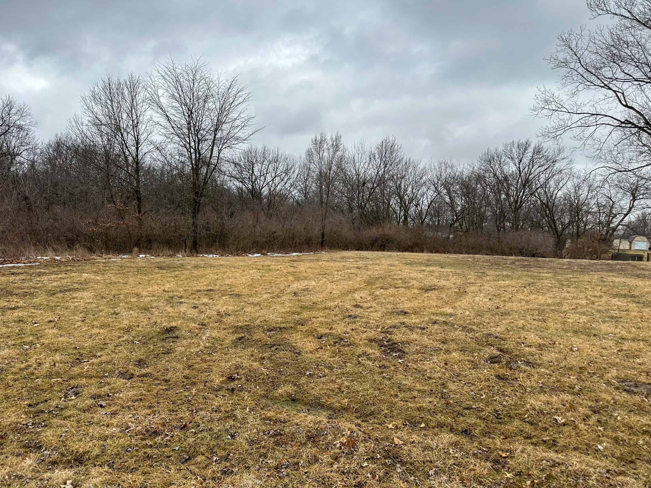 77 Acres | Timber, Hunting & Building Site Inside Ottumwa City Limits
