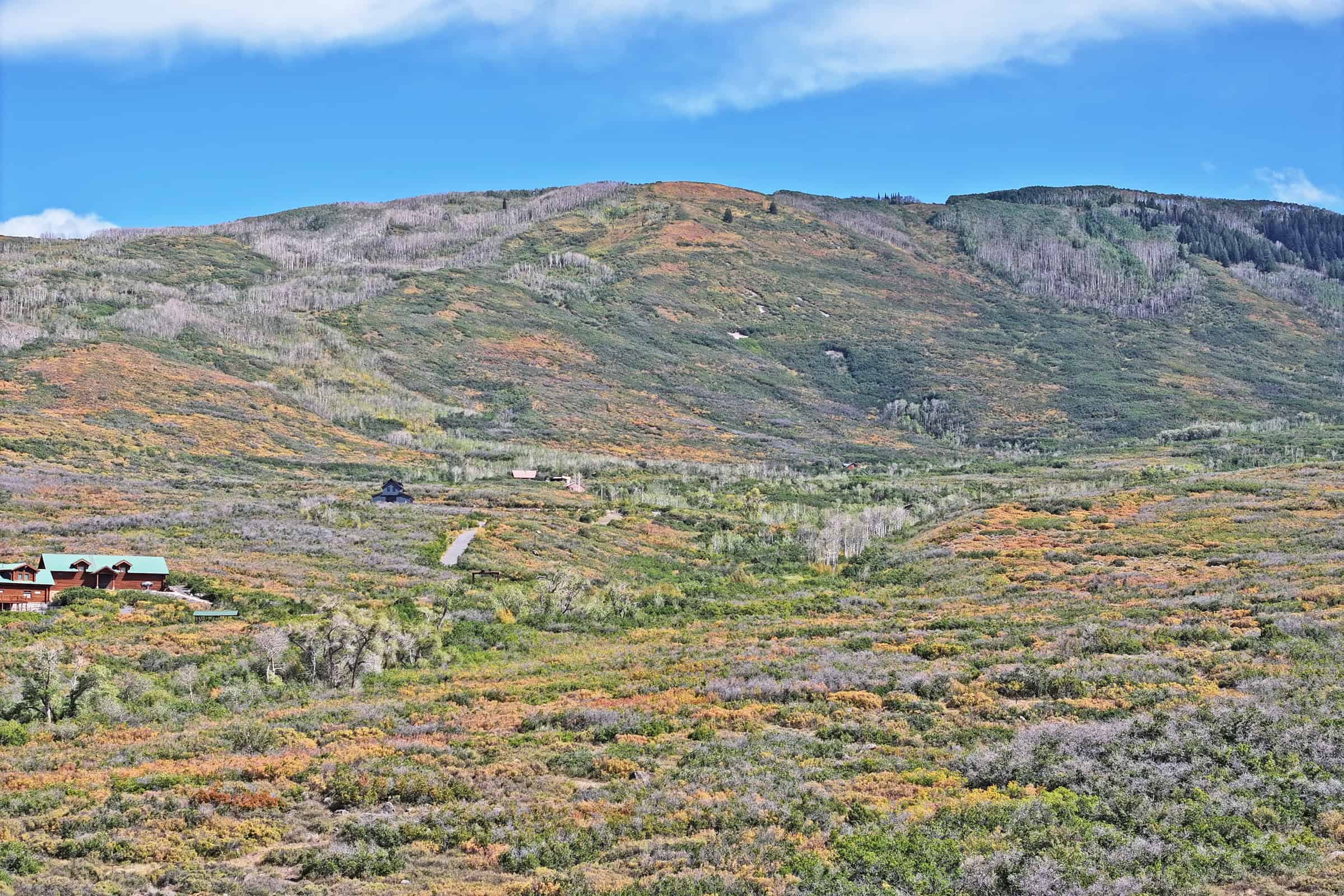 Land For Sale Near Powderhorn Ski Resort and Grand Mesa National Forest