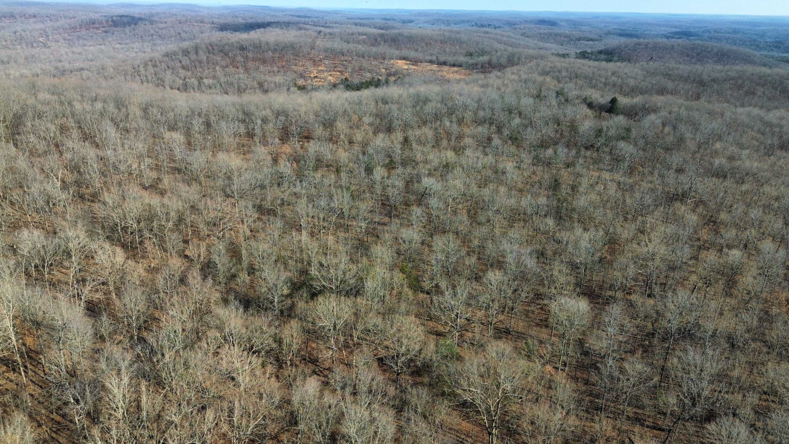 HUNTING LAND FOR SALE IN NORTH CENTRAL ARKANSAS