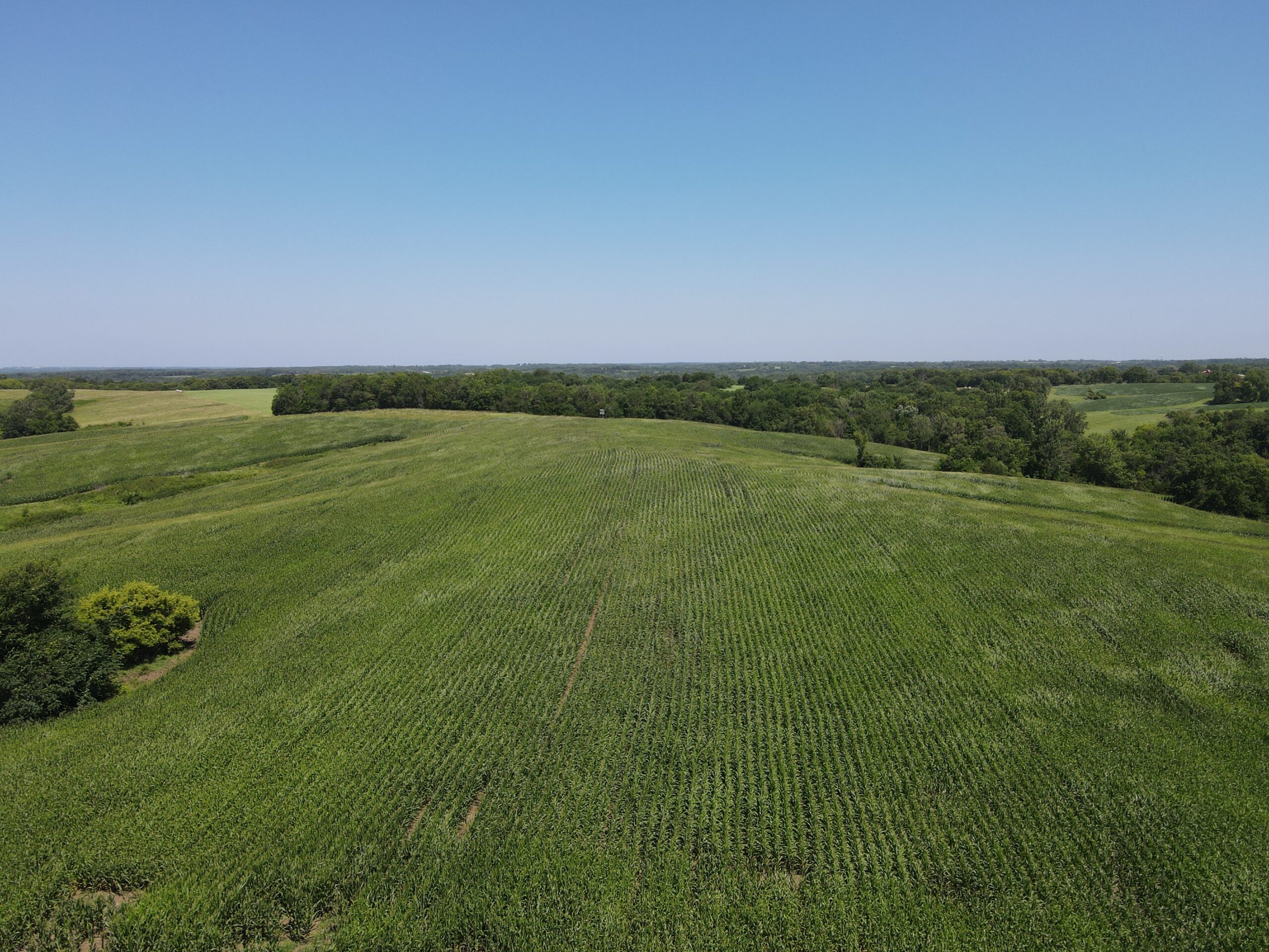Northern Missouri Combo Farm FOR SALE!