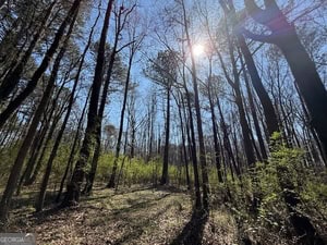 Diverse Hunting Property in Stephens, Georgia