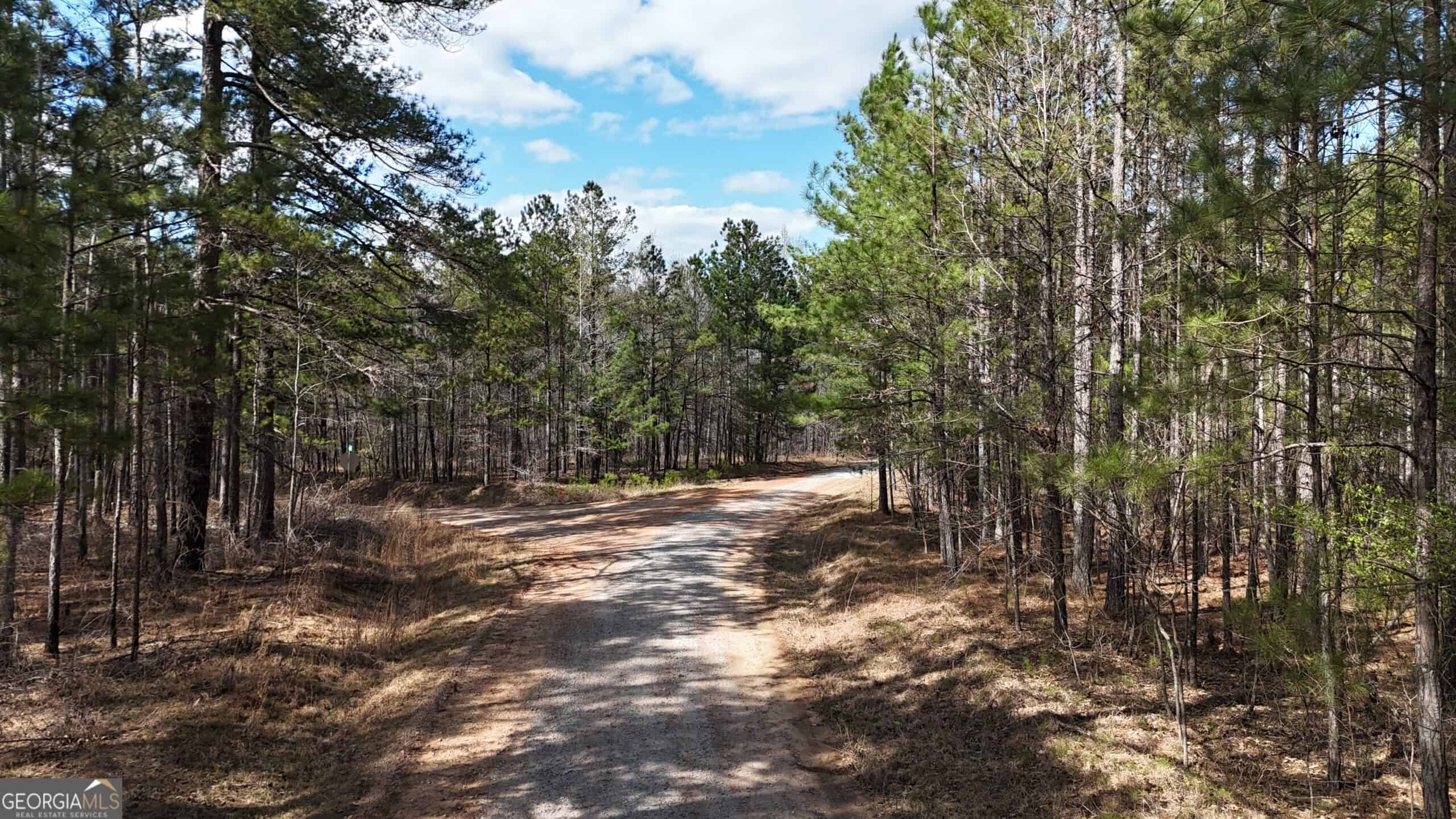 1008 Domes Rd, Hillsboro, GA 31038