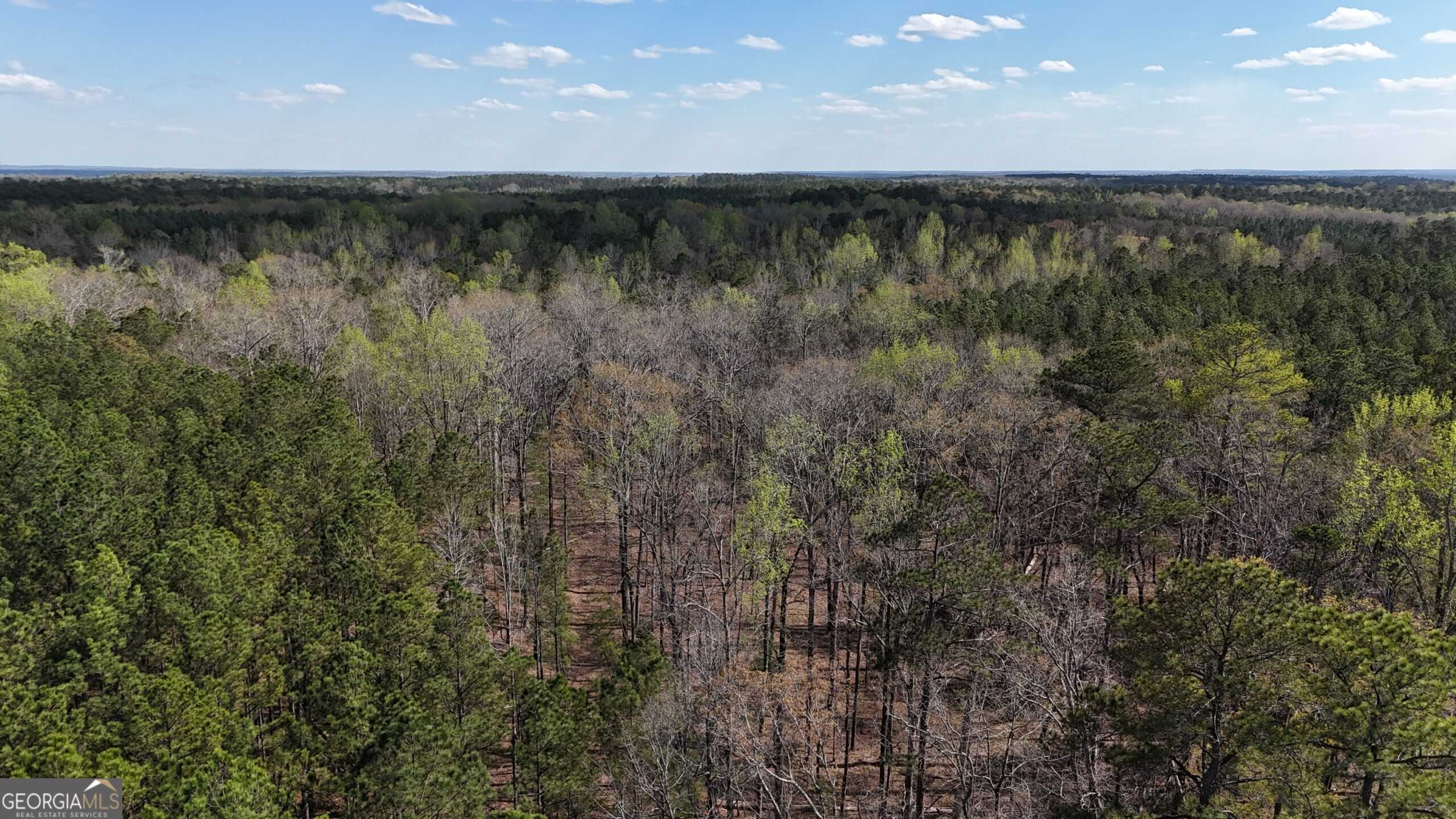 1008 Domes Rd, Hillsboro, GA 31038