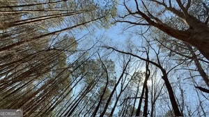 Diverse Hunting Property in Stephens, Georgia