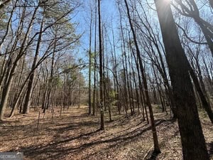 Diverse Hunting Property in Stephens, Georgia