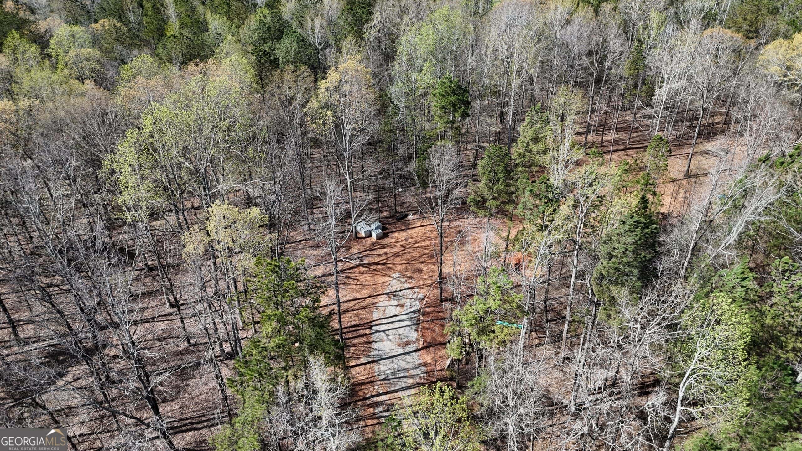 1008 Domes Rd, Hillsboro, GA 31038