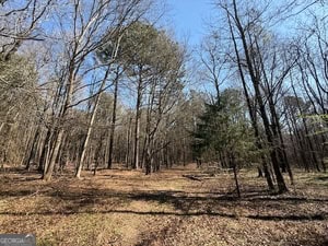 Diverse Hunting Property in Stephens, Georgia