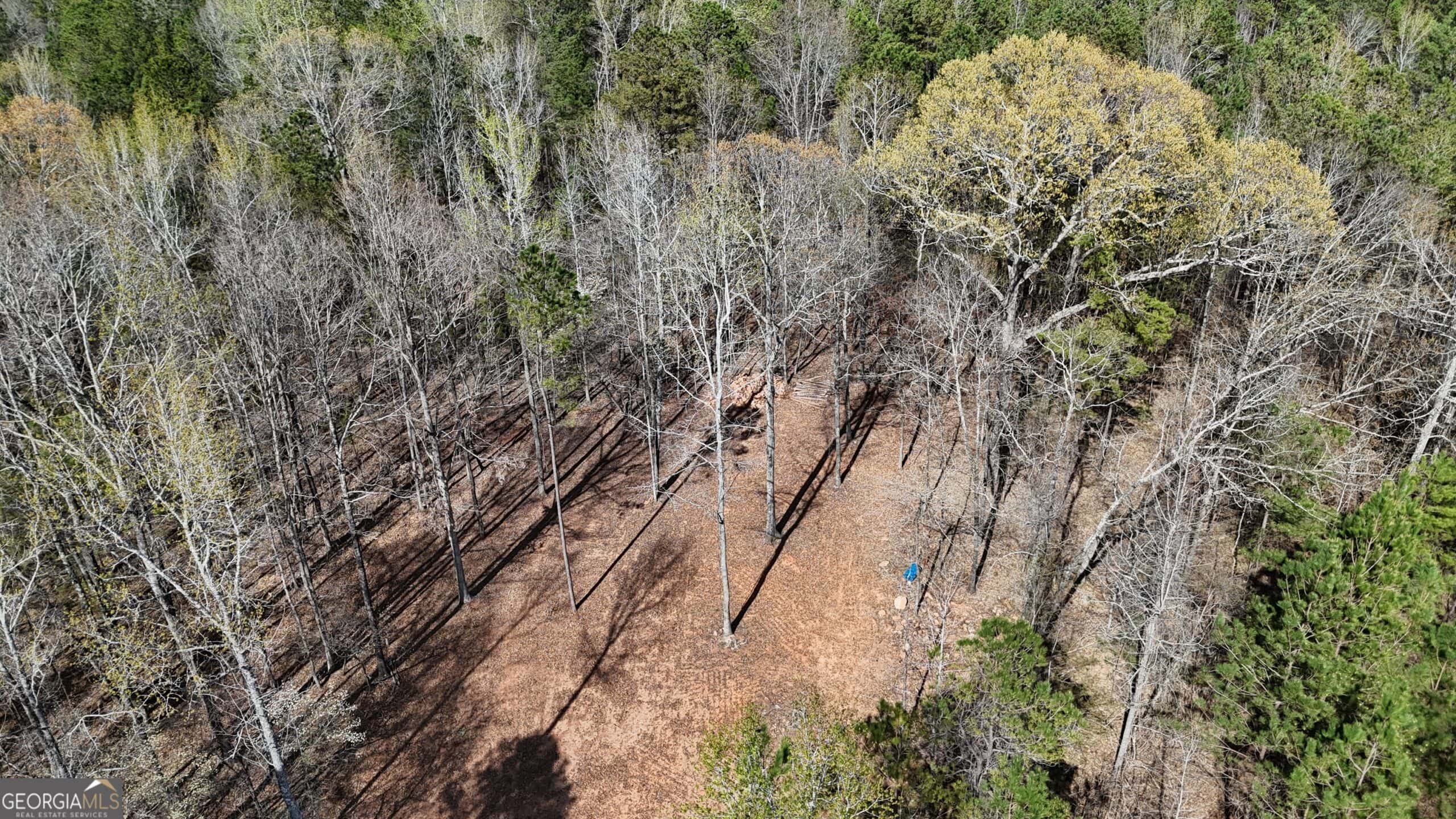 1008 Domes Rd, Hillsboro, GA 31038