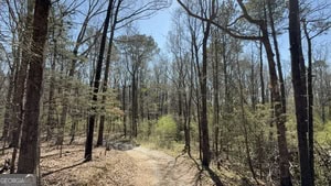 864 Stephens Salem Road Stephens, GA 30667
