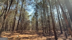 Diverse Hunting Property in Stephens, Georgia