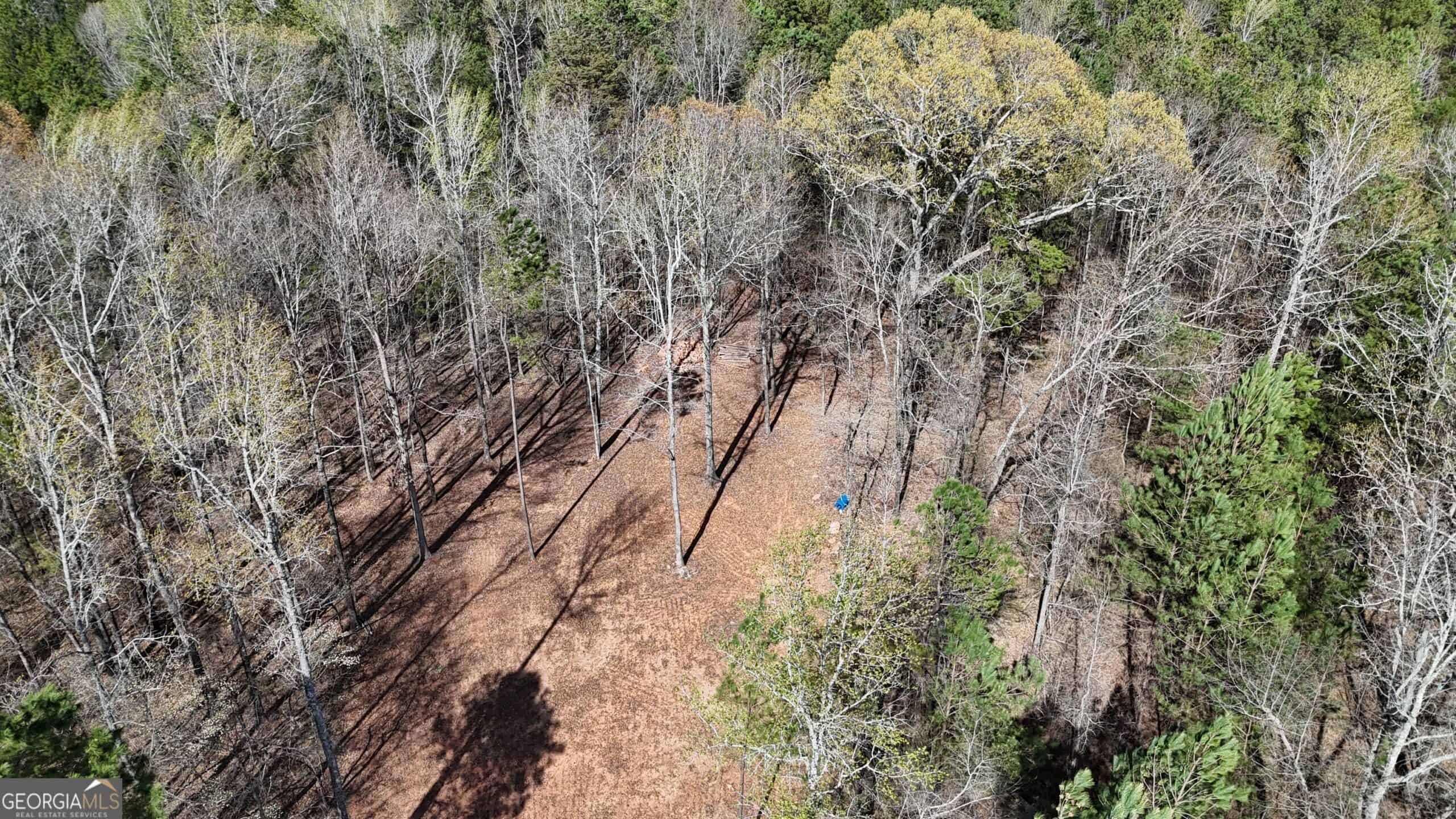 1008 Domes Rd, Hillsboro, GA 31038