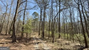 864 Stephens Salem Road Stephens, GA 30667