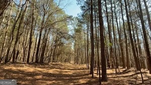 Diverse Hunting Property in Stephens, Georgia