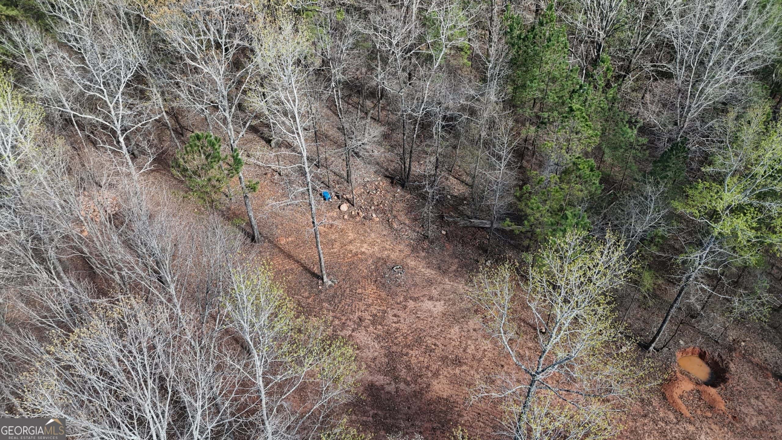 1008 Domes Rd, Hillsboro, GA 31038