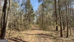 864 Stephens Salem Road Stephens, GA 30667