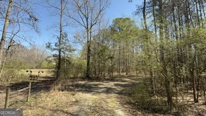 864 Stephens Salem Road Stephens, GA 30667