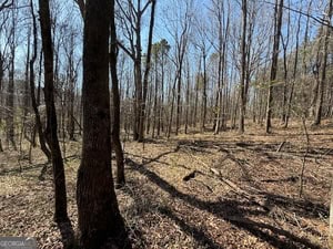 Diverse Hunting Property in Stephens, Georgia