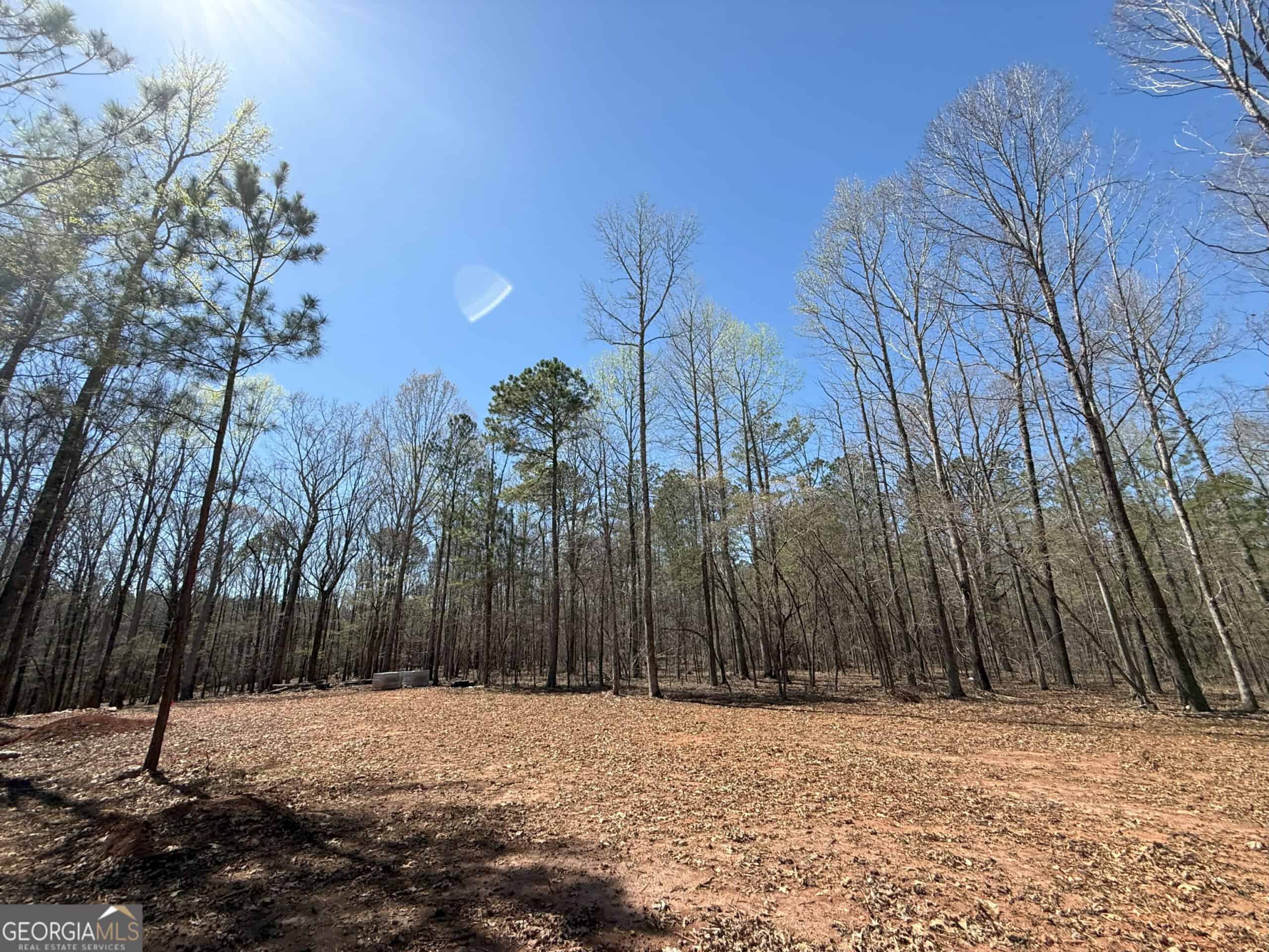 1008 Domes Rd, Hillsboro, GA 31038