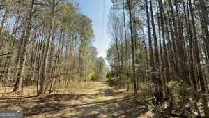 864 Stephens Salem Road Stephens, GA 30667