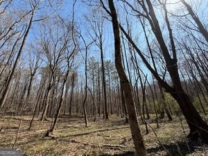 Diverse Hunting Property in Stephens, Georgia