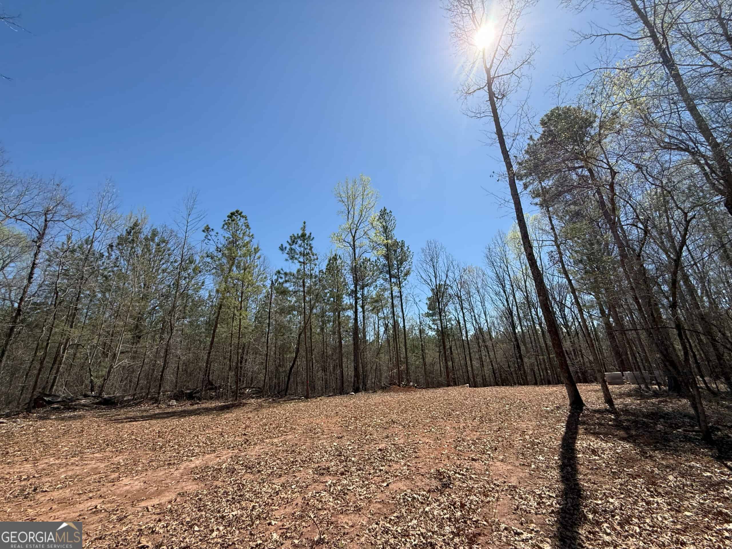 1008 Domes Rd, Hillsboro, GA 31038