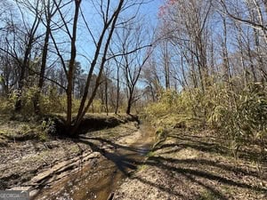 Diverse Hunting Property in Stephens, Georgia
