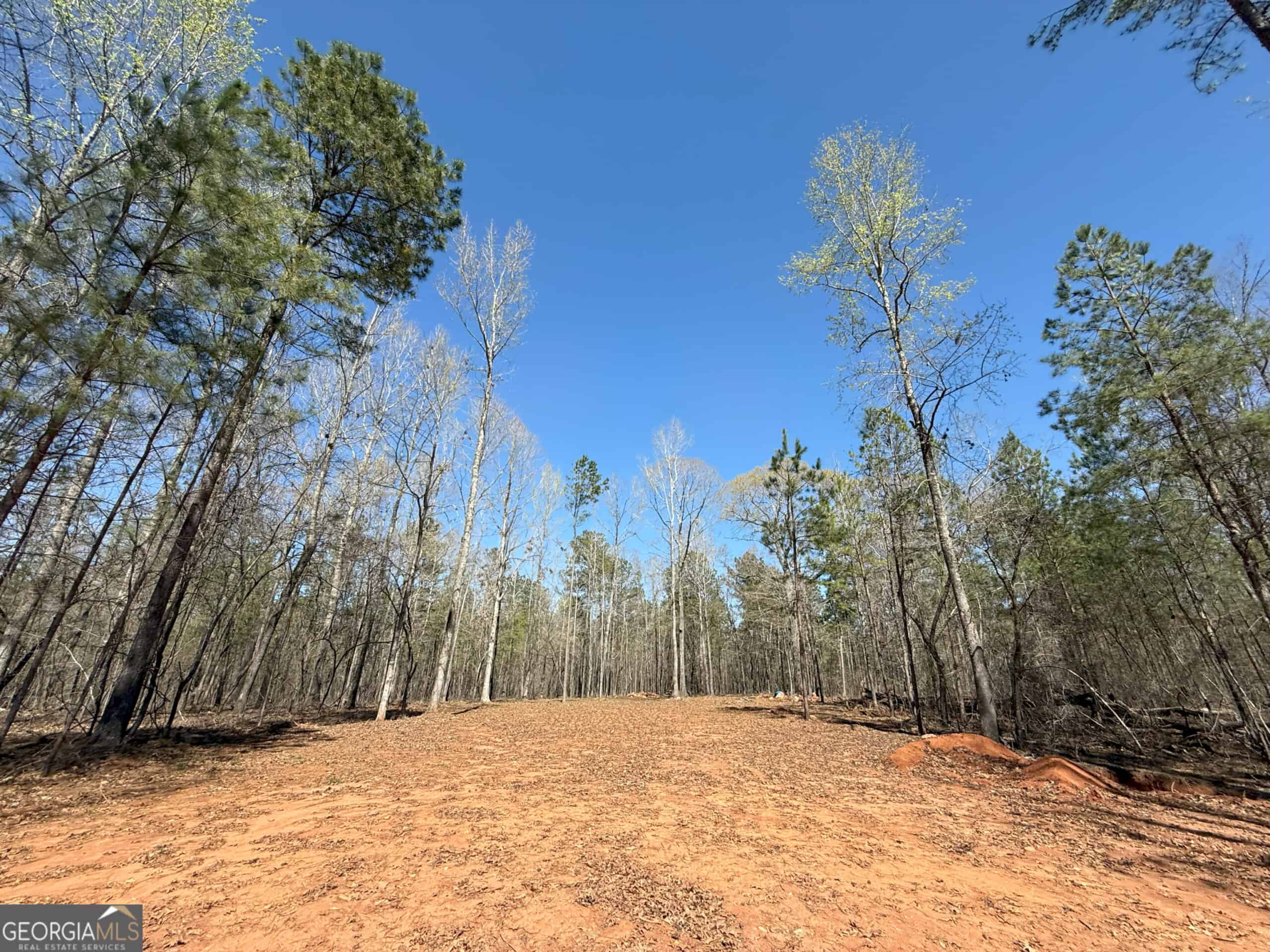 1008 Domes Rd, Hillsboro, GA 31038