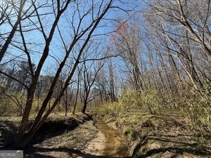 Diverse Hunting Property in Stephens, Georgia