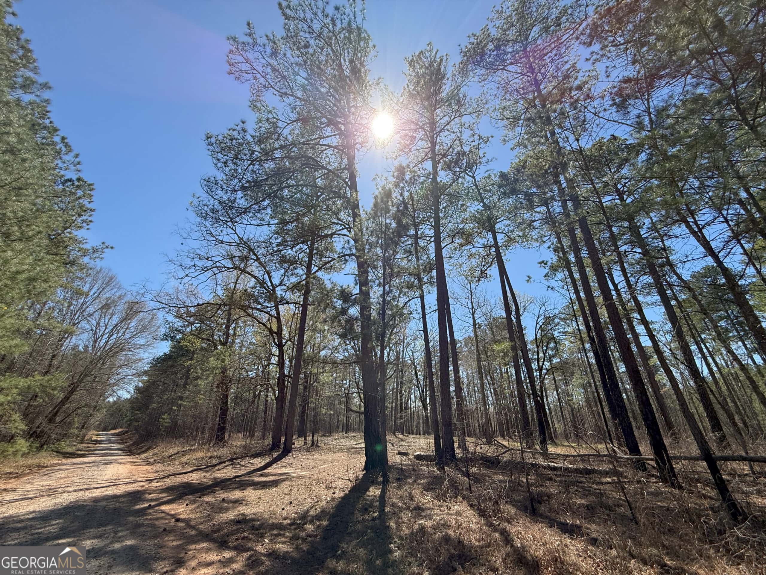1008 Domes Rd, Hillsboro, GA 31038