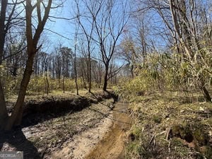 Diverse Hunting Property in Stephens, Georgia