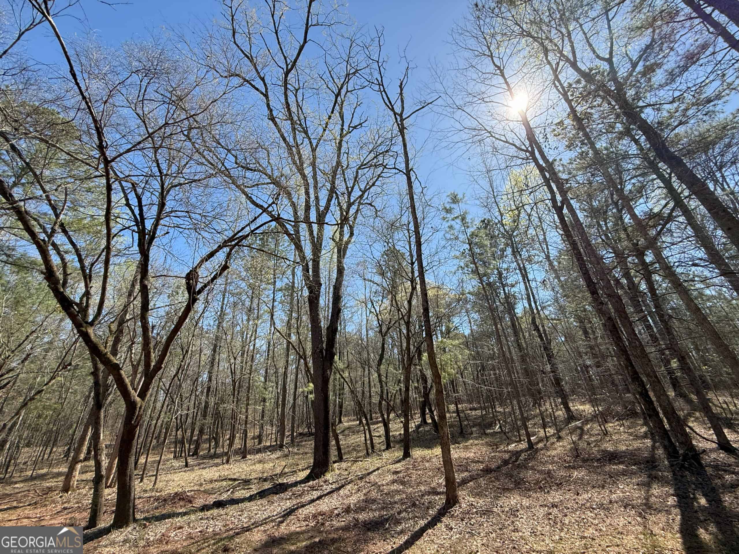1008 Domes Rd, Hillsboro, GA 31038