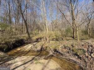 Diverse Hunting Property in Stephens, Georgia