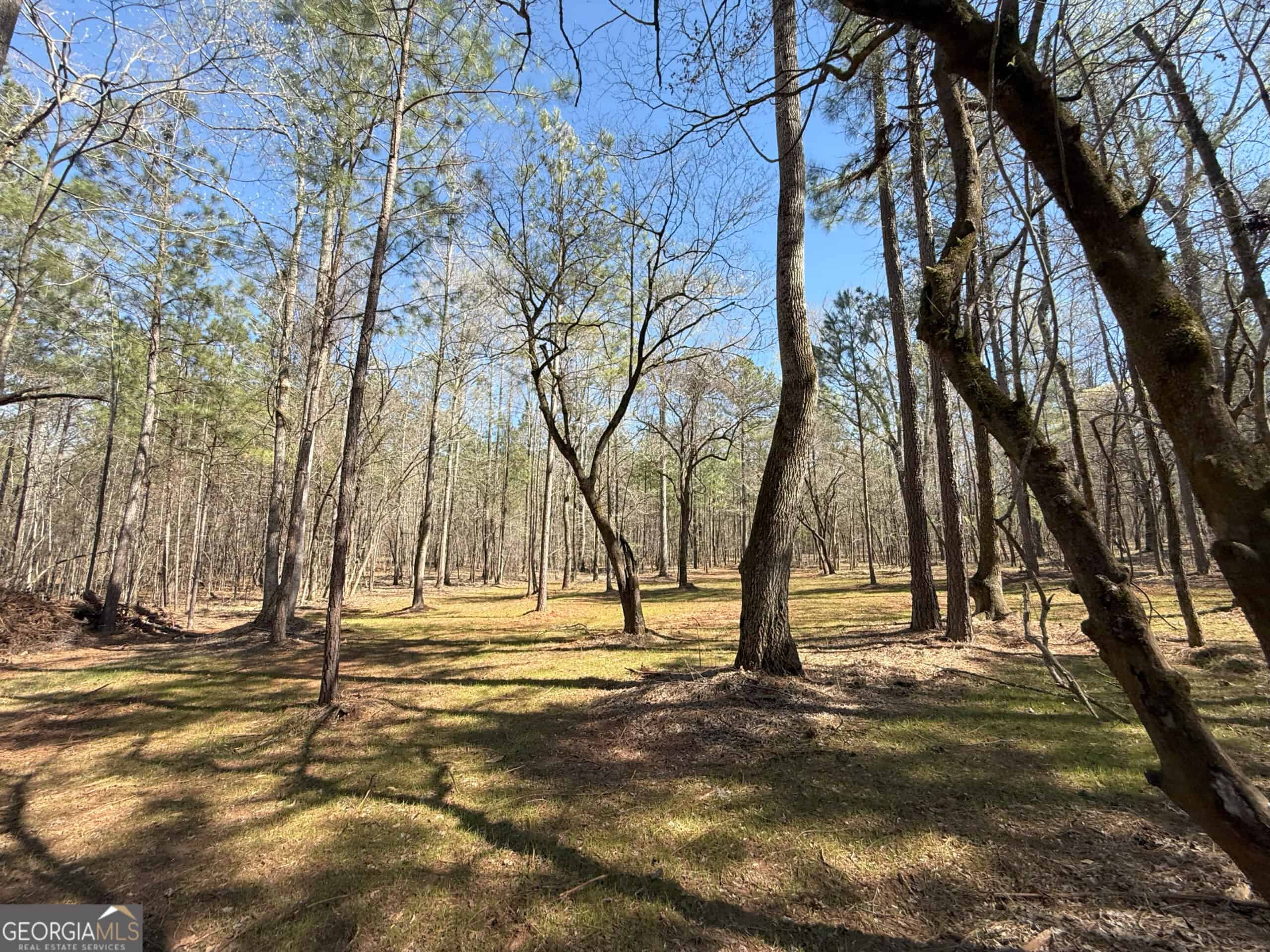 1008 Domes Rd, Hillsboro, GA 31038
