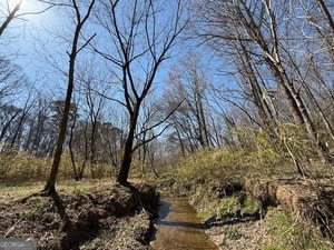 Diverse Hunting Property in Stephens, Georgia