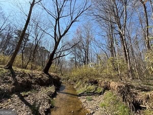 Diverse Hunting Property in Stephens, Georgia