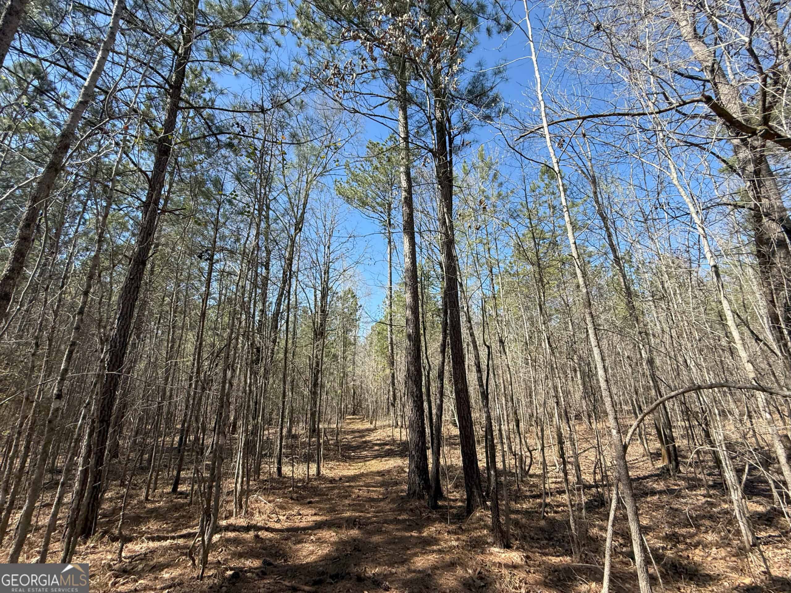 1008 Domes Rd, Hillsboro, GA 31038