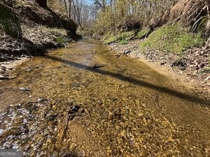 Diverse Hunting Property in Stephens, Georgia