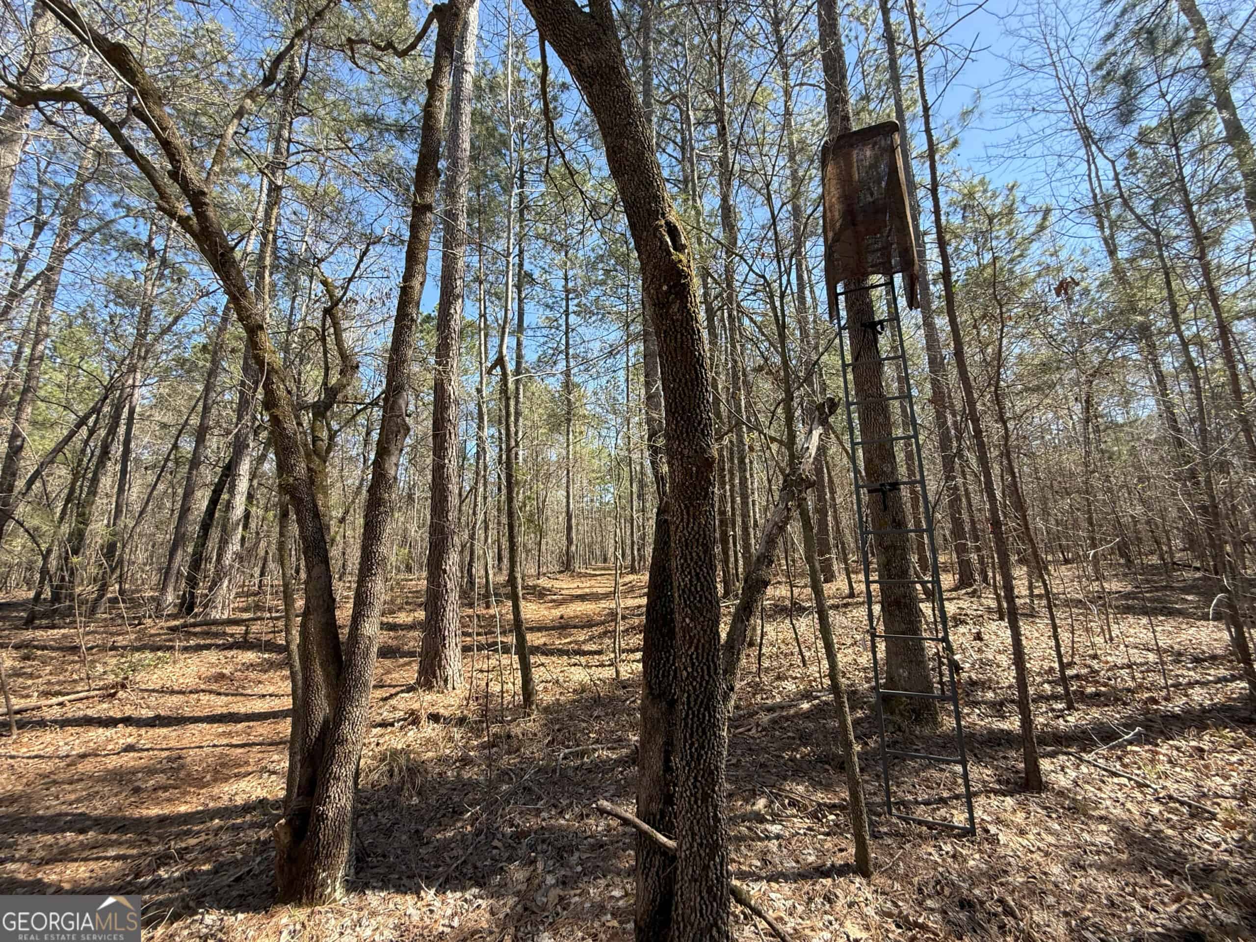 1008 Domes Rd, Hillsboro, GA 31038