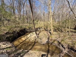 Diverse Hunting Property in Stephens, Georgia
