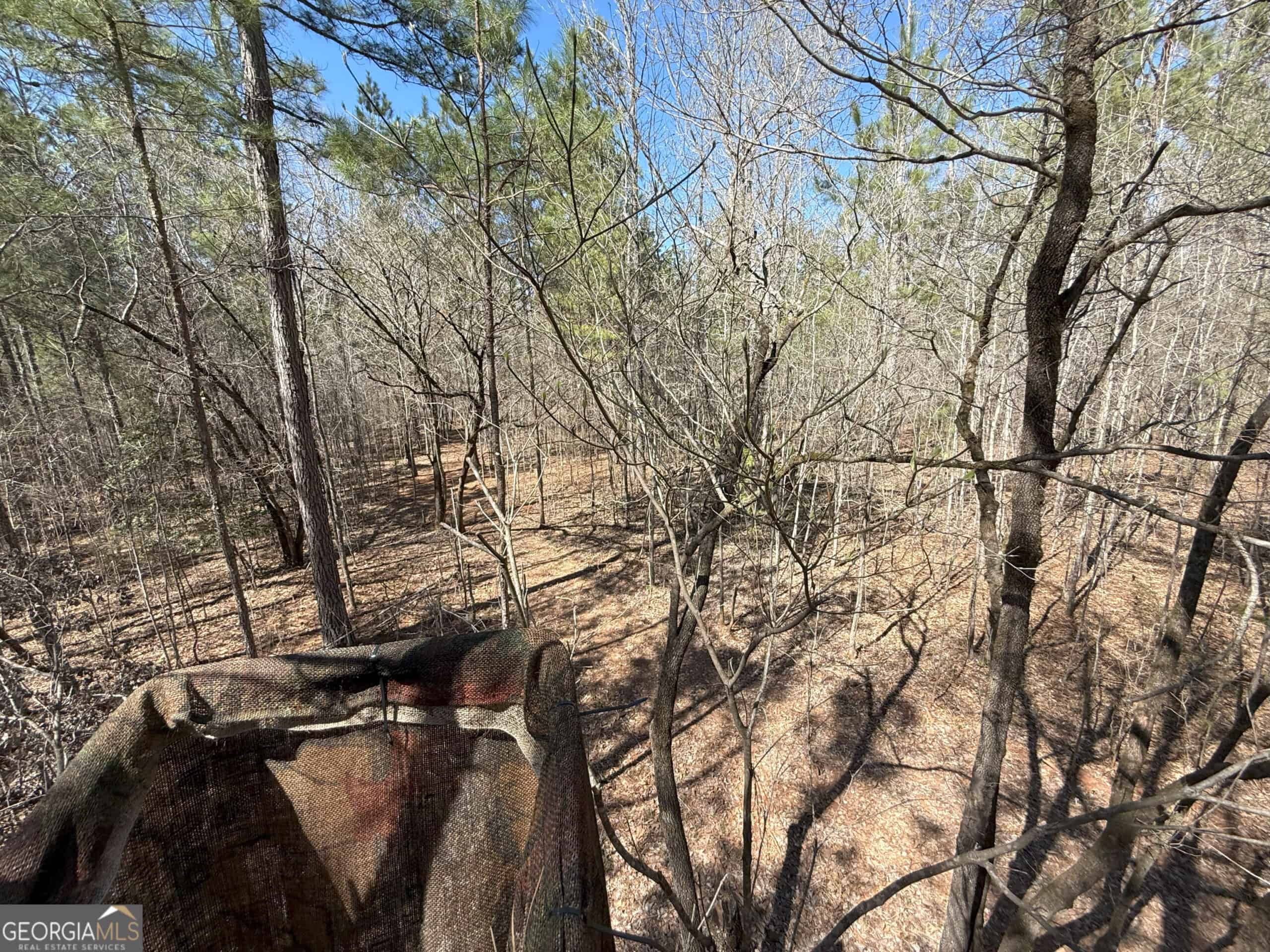 1008 Domes Rd, Hillsboro, GA 31038