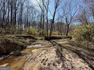 Diverse Hunting Property in Stephens, Georgia