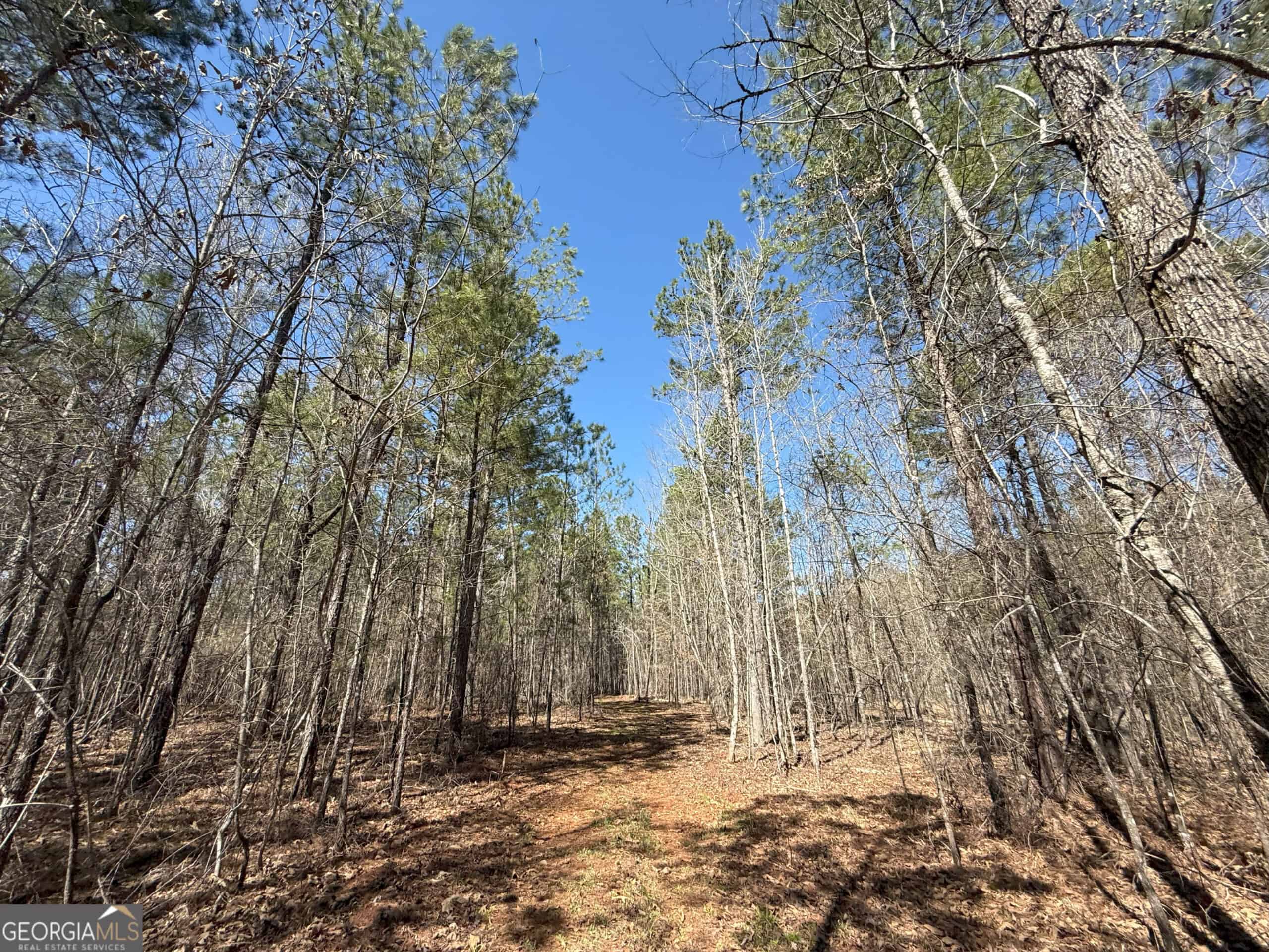 1008 Domes Rd, Hillsboro, GA 31038