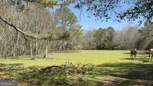 864 Stephens Salem Road Stephens, GA 30667