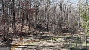 Diverse Hunting Property in Stephens, Georgia