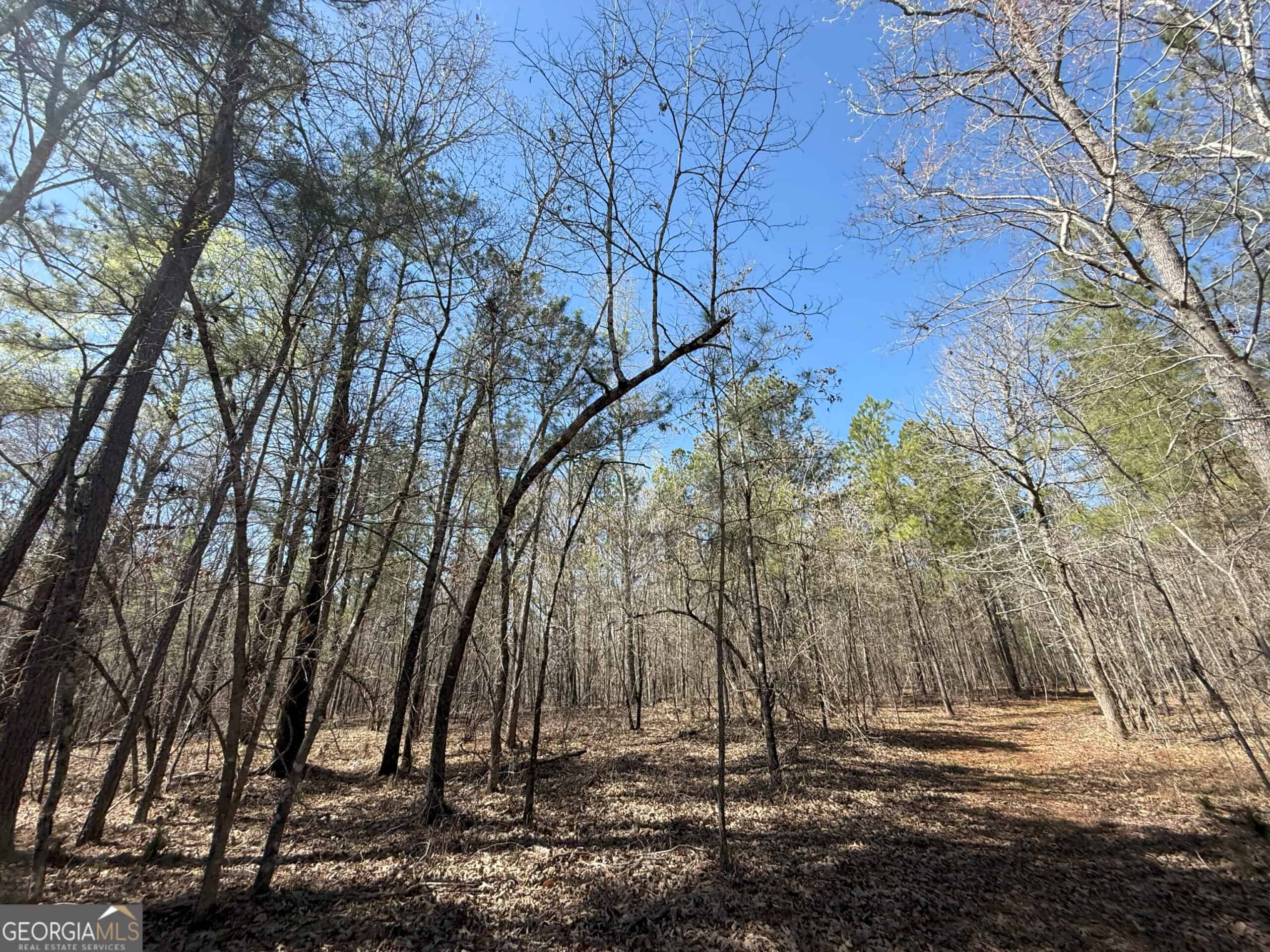 1008 Domes Rd, Hillsboro, GA 31038