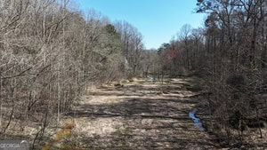 Diverse Hunting Property in Stephens, Georgia