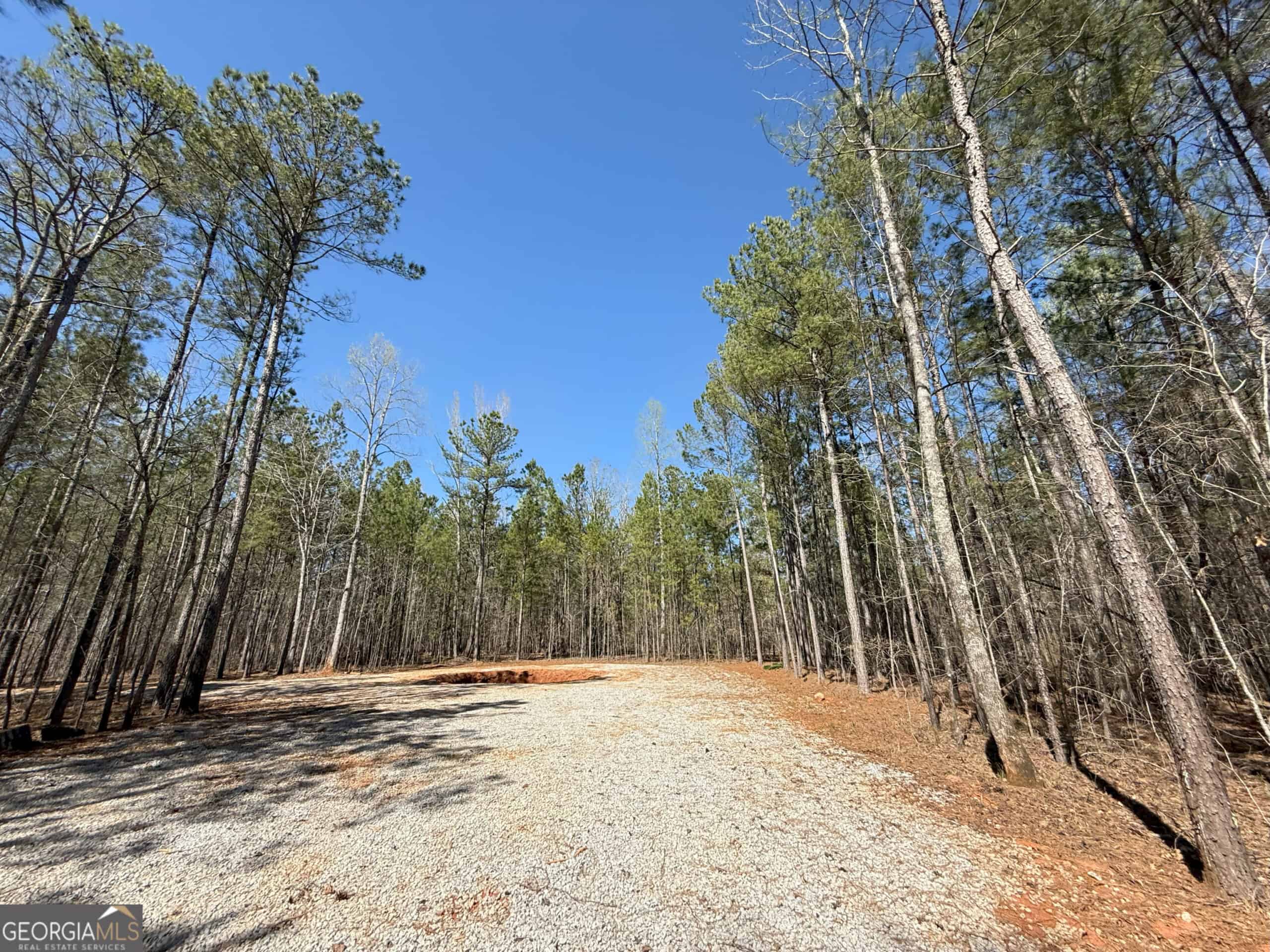 1008 Domes Rd, Hillsboro, GA 31038